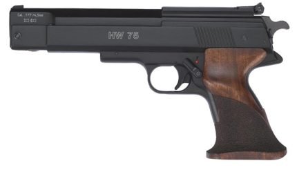 Weihrauch HW 75 Pellet Pistol